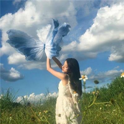 新美女与野兽